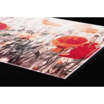 Obklad DIMEX | Plexisklo za kuchyňskou linku PGT-08040-171 | 80 x 40 cm | Vlčí mák + Plexisklo za kuchyňskou linku DIMEX v rozměru 80 x 40 cm, motiv Vlčí mák