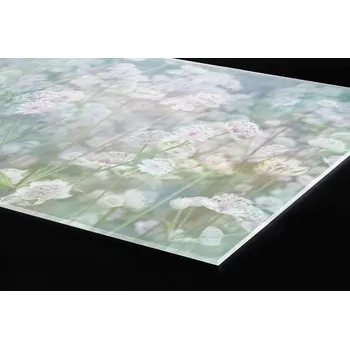 Obklad DIMEX | Plexisklo za kuchyňskou linku PGT-18060-179 | 180 x 60 cm | Rozkvetlá louka + Plexisklo za kuchyňskou linku DIMEX v rozměru 180 x 60 cm, motiv Rozkvetlá louka