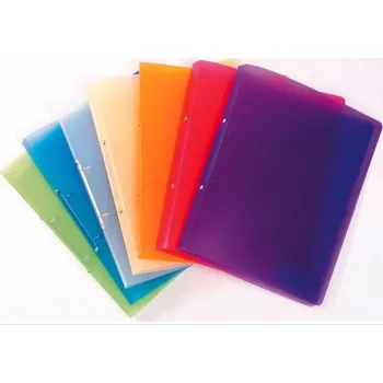 Pořadač dvoukroužkový Opaline A4 fialový