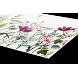 DIMEX | Plexisklo za kuchyňskou linku PGT-18060-144 | 180 x 60 cm | Květinový vzor + Plexisklo za kuchyňskou linku DIMEX v rozměru 180 x 60 cm, motiv Květinový vzor