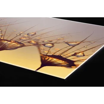 Obklad DIMEX | Plexisklo za kuchyňskou linku PGT-06040-121 | 60 cm x 40 cm | Kapky na pampelišce + Plexisklo za kuchyňskou linku DIMEX v rozměru 60 cm x 40 cm, motiv Kapky na pampelišce