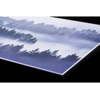 Obklad DIMEX | Plexisklo za kuchyňskou linku PGT-24060-195 | 240 x 60 cm | Mlha mezi stromy + Plexisklo za kuchyňskou linku DIMEX v rozměru 240 x 60 cm, motiv Mlha mezi stromy
