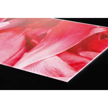 Obklad DIMEX | Plexisklo za kuchyňskou linku PGT-08040-056 | 80 x 40 cm | Červené okvětní lístky + Plexisklo za kuchyňskou linku DIMEX v rozměru 80 x 40 cm, motiv Červené okvětní lístky