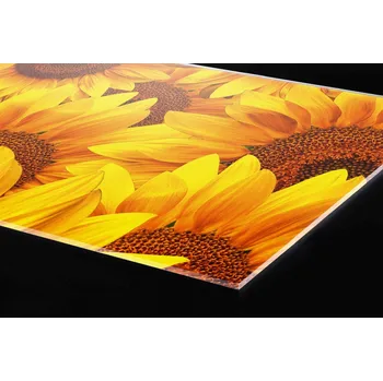 Obklad DIMEX | Plexisklo za kuchyňskou linku PGT-06060-051 | 60 x 60 cm | Slunečnice + Plexisklo za kuchyňskou linku DIMEX v rozměru 60 x 60 cm, motiv Slunečnice