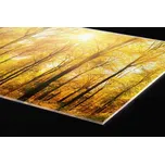 DIMEX | Plexisklo za kuchyňskou linku PGT-18060-084 | 180 x 60 cm | Slunečný les + Plexisklo za kuchyňskou linku DIMEX v rozměru 180 x 60 cm, motiv Slunečný les