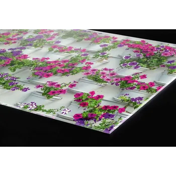 Obklad DIMEX | Plexisklo za kuchyňskou linku PGT-06060-176 | 60 x 60 cm | Květiny v truhlících + Plexisklo za kuchyňskou linku DIMEX v rozměru 60 x 60 cm, motiv Květiny v truhlících