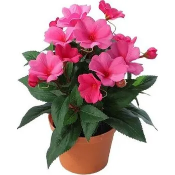 umělá květina Umělá Netykavka v květináči tmavě růžová, 24 cm