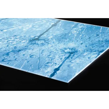 Obklad DIMEX | Plexisklo za kuchyňskou linku PGT-18060-127 | 180 x 60 cm | Makro pampelišky + Plexisklo za kuchyňskou linku DIMEX v rozměru 180 x 60 cm, motiv Makro pampelišky