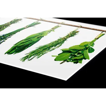 Obklad DIMEX | Plexisklo za kuchyňskou linku PGT-10060-007 | 100 x 60 cm | Bylinky + Plexisklo za kuchyňskou linku DIMEX v rozměru 100 x 60 cm, motiv Bylinky