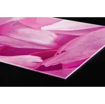 DIMEX | Plexisklo za kuchyňskou linku PGT-24060-055 | 240 x 60 cm | Fialové okvětní lístky + Plexisklo za kuchyňskou linku DIMEX v rozměru 240 x 60 cm, motiv Fialové okvětní lístky