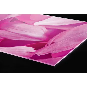 Obklad DIMEX | Plexisklo za kuchyňskou linku PGT-24060-055 | 240 x 60 cm | Fialové okvětní lístky + Plexisklo za kuchyňskou linku DIMEX v rozměru 240 x 60 cm, motiv Fialové okvětní lístky