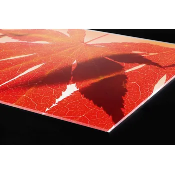 Obklad DIMEX | Plexisklo za kuchyňskou linku PGT-18060-008 | 180 x 60 cm | Červené listy + Plexisklo za kuchyňskou linku DIMEX v rozměru 180 x 60 cm, motiv Červené listy