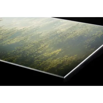 Obklad DIMEX | Plexisklo za kuchyňskou linku PGT-18060-194 | 180 x 60 cm | Zamlžený les + Plexisklo za kuchyňskou linku DIMEX v rozměru 180 x 60 cm, motiv Zamlžený les