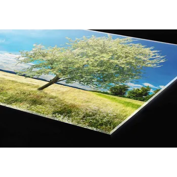 Obklad DIMEX | Plexisklo za kuchyňskou linku PGT-06060-085 | 60 x 60 cm | Strom na louce + Plexisklo za kuchyňskou linku DIMEX v rozměru 60 x 60 cm, motiv Strom na louce