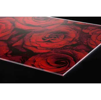 Obklad DIMEX | Plexisklo za kuchyňskou linku PGT-06060-132 | 60 x 60 cm | Rudé růže + Plexisklo za kuchyňskou linku DIMEX v rozměru 60 x 60 cm, motiv Rudé růže