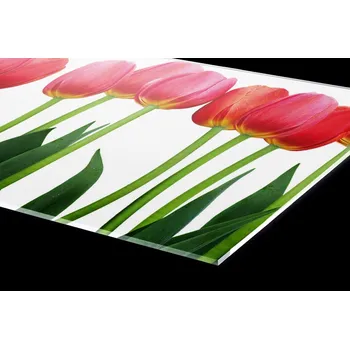 Obklad DIMEX | Plexisklo za kuchyňskou linku PGT-06040-058 | 60 cm x 40 cm | Tulipány + Plexisklo za kuchyňskou linku DIMEX v rozměru 60 cm x 40 cm, motiv Tulipány