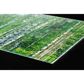 Obklad DIMEX | Plexisklo za kuchyňskou linku PGT-18060-044 | 180 x 60 cm | Březový háj + Plexisklo za kuchyňskou linku DIMEX v rozměru 180 x 60 cm, motiv Březový háj