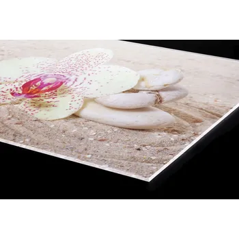 Obklad DIMEX | Plexisklo za kuchyňskou linku PGT-06040-057 | 60 cm x 40 cm | Zahrada Zen + Plexisklo za kuchyňskou linku DIMEX v rozměru 60 cm x 40 cm, motiv Zahrada Zen