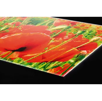 Obklad DIMEX | Plexisklo za kuchyňskou linku PGT-18060-028 | 180 x 60 cm | Červené vlčí máky + Plexisklo za kuchyňskou linku DIMEX v rozměru 180 x 60 cm, motiv Červené vlčí máky