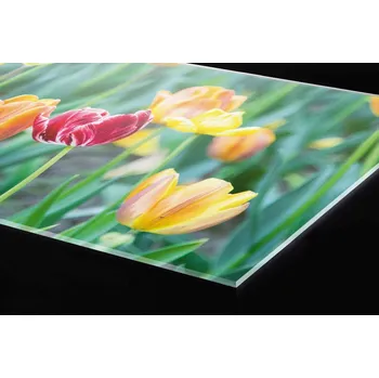 Obklad DIMEX | Plexisklo za kuchyňskou linku PGT-24060-122 | 240 x 60 cm | Jarní kvítí + Plexisklo za kuchyňskou linku DIMEX v rozměru 240 x 60 cm, motiv Jarní kvítí