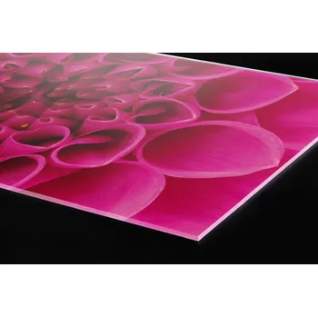 Obklad DIMEX | Plexisklo za kuchyňskou linku PGT-24060-049 | 240 x 60 cm | Růžová jiřina + Plexisklo za kuchyňskou linku DIMEX v rozměru 240 x 60 cm, motiv Růžová jiřina