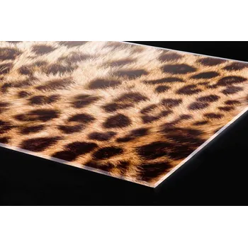 Obklad DIMEX | Plexisklo za kuchyňskou linku PGT-10060-069 | 100 x 60 cm | Leopardí kůže + Plexisklo za kuchyňskou linku DIMEX v rozměru 100 x 60 cm, motiv Leopardí kůže