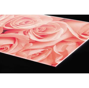 Obklad DIMEX | Plexisklo za kuchyňskou linku PGT-08060-052 | 80 x 60 cm | Růže + Plexisklo za kuchyňskou linku DIMEX v rozměru 80 x 60 cm, motiv Růže