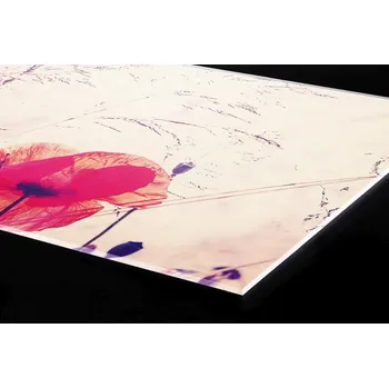 Obklad DIMEX | Plexisklo za kuchyňskou linku PGT-24060-218 | 240 x 60 cm | Vintage vlčí mák + Plexisklo za kuchyňskou linku DIMEX v rozměru 240 x 60 cm, motiv Vintage vlčí mák