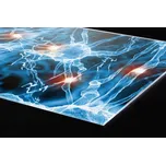 DIMEX | Plexisklo za kuchyňskou linku PGT-24060-238 | 240 x 60 cm | Nervové synapse + Plexisklo za kuchyňskou linku DIMEX v rozměru 240 x 60 cm, motiv Nervové synapse