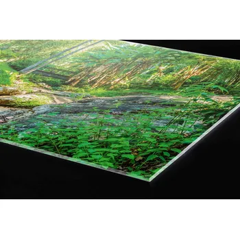 Obklad DIMEX | Plexisklo za kuchyňskou linku PGT-08040-134 | 80 x 40 cm | Botanická zahrada + Plexisklo za kuchyňskou linku DIMEX v rozměru 80 x 40 cm, motiv Botanická zahrada