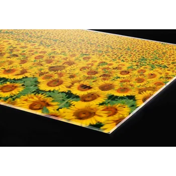 Obklad DIMEX | Plexisklo za kuchyňskou linku PGT-18060-030 | 180 x 60 cm | Lány slunečnic + Plexisklo za kuchyňskou linku DIMEX v rozměru 180 x 60 cm, motiv Lány slunečnic