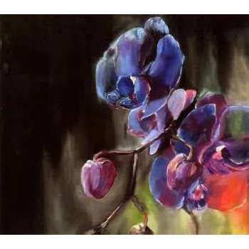 Zahraniční hudba CD Why Bonnie: Wish On The Bone 2024