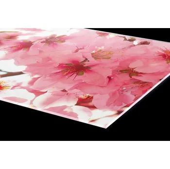 Obklad DIMEX | Plexisklo za kuchyňskou linku PGT-10060-054 | 100 x 60 cm | Květy jabloní + Plexisklo za kuchyňskou linku DIMEX v rozměru 100 x 60 cm, motiv Květy jabloní