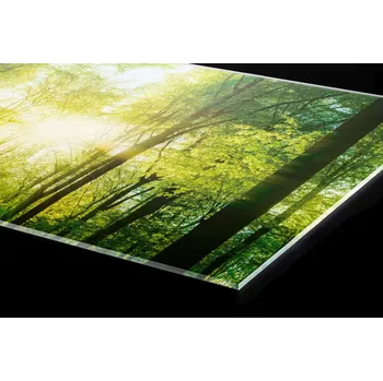 Obklad DIMEX | Plexisklo za kuchyňskou linku PGT-08040-189 | 80 x 40 cm | Svěží zelený les + Plexisklo za kuchyňskou linku DIMEX v rozměru 80 x 40 cm, motiv Svěží zelený les