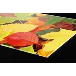 DIMEX | Plexisklo za kuchyňskou linku PGT-18060-027 | 180 x 60 cm | Listy + Plexisklo za kuchyňskou linku DIMEX v rozměru 180 x 60 cm, motiv Listy