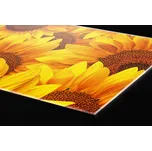 DIMEX | Plexisklo za kuchyňskou linku PGT-18060-051 | 180 x 60 cm | Slunečnice + Plexisklo za kuchyňskou linku DIMEX v rozměru 180 x 60 cm, motiv Slunečnice