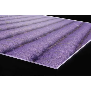 Obklad DIMEX | Plexisklo za kuchyňskou linku PGT-08040-029 | 80 x 40 cm | Levandule + Plexisklo za kuchyňskou linku DIMEX v rozměru 80 x 40 cm, motiv Levandule