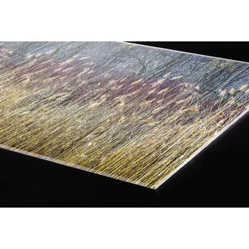 Obklad DIMEX | Plexisklo za kuchyňskou linku PGT-08060-170 | 80 x 60 cm | Zimní rákos + Plexisklo za kuchyňskou linku DIMEX v rozměru 80 x 60 cm, motiv Zimní rákos