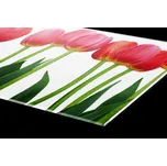 DIMEX | Plexisklo za kuchyňskou linku PGT-24060-058 | 240 x 60 cm | Tulipány + Plexisklo za kuchyňskou linku DIMEX v rozměru 240 x 60 cm, motiv Tulipány