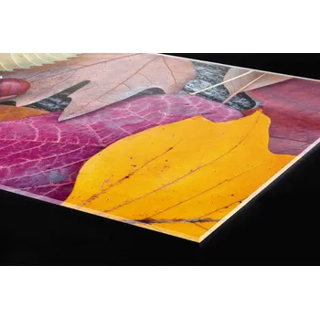 Obklad DIMEX | Plexisklo za kuchyňskou linku PGT-18060-047 | 180 x 60 cm | Podzimní listí + Plexisklo za kuchyňskou linku DIMEX v rozměru 180 x 60 cm, motiv Podzimní listí