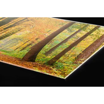 Obklad DIMEX | Plexisklo za kuchyňskou linku PGT-06060-045 | 60 x 60 cm | Podzimní les + Plexisklo za kuchyňskou linku DIMEX v rozměru 60 x 60 cm, motiv Podzimní les