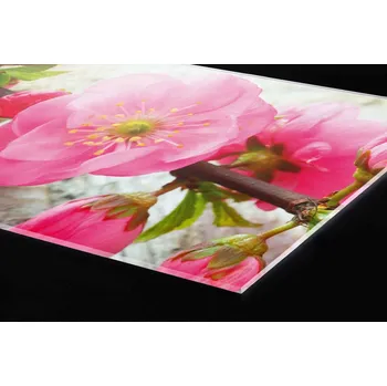 Obklad DIMEX | Plexisklo za kuchyňskou linku PGT-10060-053 | 100 x 60 cm | Sakura + Plexisklo za kuchyňskou linku DIMEX v rozměru 100 x 60 cm, motiv Sakura