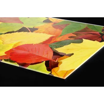 Obklad DIMEX | Plexisklo za kuchyňskou linku PGT-06060-027 | 60 x 60 cm | Listy + Plexisklo za kuchyňskou linku DIMEX v rozměru 60 x 60 cm, motiv Listy