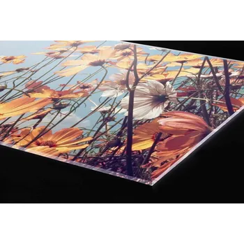 Obklad DIMEX | Plexisklo za kuchyňskou linku PGT-10060-123 | 100 x 60 cm | Jarní louka + Plexisklo za kuchyňskou linku DIMEX v rozměru 100 x 60 cm, motiv Jarní louka