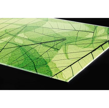 Obklad DIMEX | Plexisklo za kuchyňskou linku PGT-08040-048 | 80 x 40 cm | Žilky listů + Plexisklo za kuchyňskou linku DIMEX v rozměru 80 x 40 cm, motiv Žilky listů