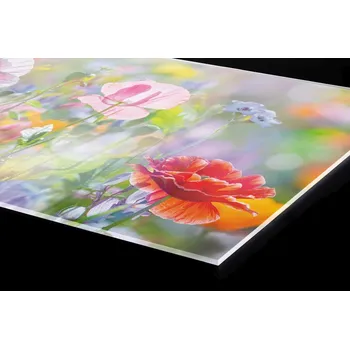 Obklad DIMEX | Plexisklo za kuchyňskou linku PGT-18060-199 | 180 x 60 cm | Letní barevná louka + Plexisklo za kuchyňskou linku DIMEX v rozměru 180 x 60 cm, motiv Letní barevná louka