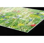 DIMEX | Plexisklo za kuchyňskou linku PGT-18060-172 | 180 x 60 cm | Květinová louka + Plexisklo za kuchyňskou linku DIMEX v rozměru 180 x 60 cm, motiv Květinová louka