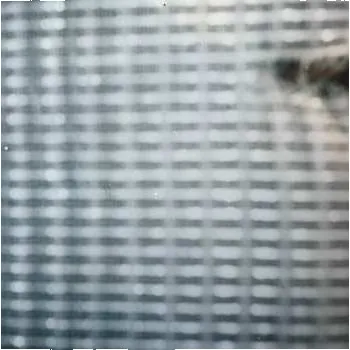 Zahraniční hudba SP Wild Pink: 7-strawberry Eraser 2024