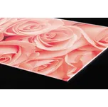 DIMEX | Plexisklo za kuchyňskou linku PGT-24060-052 | 240 x 60 cm | Růže + Plexisklo za kuchyňskou linku DIMEX v rozměru 240 x 60 cm, motiv Růže