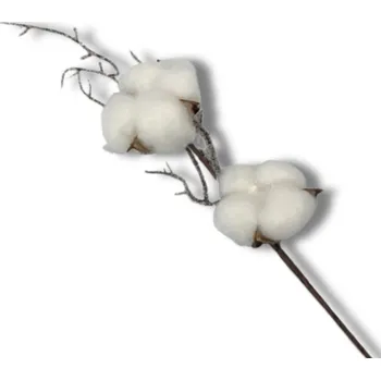 umělá květina Dekorace - Bavlník záp.27cm